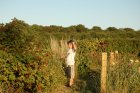 002-DSC_0076.JPG.small.jpeg