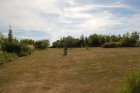 008-DSC_0096.JPG.small.jpeg