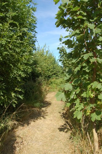 012-DSC_0100.JPG.medium.jpeg