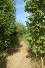 012-DSC_0100.JPG.small.jpeg
