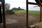 025-DSC_0222.JPG.small.jpeg