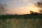 026-DSC_0230.JPG.small.jpeg