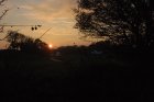 027-DSC_0234.JPG.small.jpeg