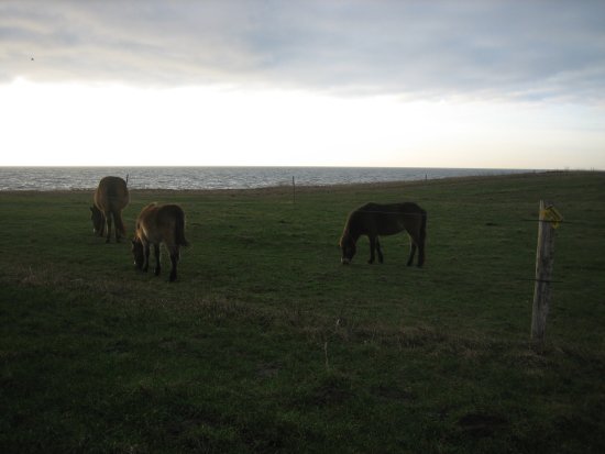 033-IMG_2531.JPG.medium.jpeg