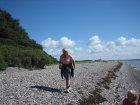 036-IMG_3365.JPG.small.jpeg