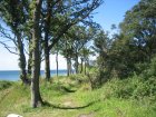 037-IMG_3367.JPG.small.jpeg