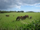 039-IMG_3371.JPG.small.jpeg