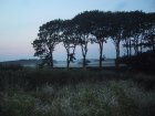 042-IMG_3758.JPG.small.jpeg