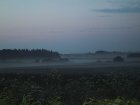 043-IMG_3761.JPG.small.jpeg