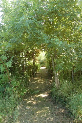 011-DSC_0099.JPG.medium.jpeg