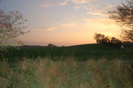 026-DSC_0230.JPG.medium.jpeg