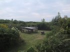 054-IMG_3894.JPG.small.jpeg