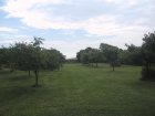 056-IMG_3897.JPG.small.jpeg