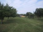 058-IMG_3899.JPG.small.jpeg
