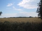 059-IMG_3900.JPG.small.jpeg