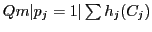 $Qm\vert p_j=1\vert\sum h_j(C_j)$